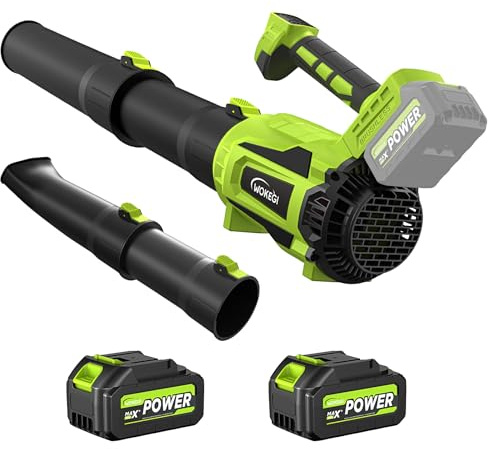 Cordless Leaf Blower with 2 Batteries, 580CFM Brushless Motor for Easy Lawn Care & Car Drying, Lightweight Handheld Blower Ideal for Women & Seniors, Fast Charger Included