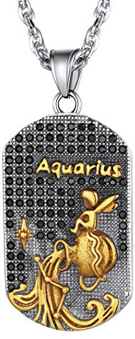 Collier Verseau Signe Astrologique Dorée 18K et en Strass Brillante-Pendentif Plaque Militaire Dog Tag Zodiaque avec Jolie Chaîne Réglable 22+2 pouces,Cadeau Anniversaire pour Garçon,Homme,Femme