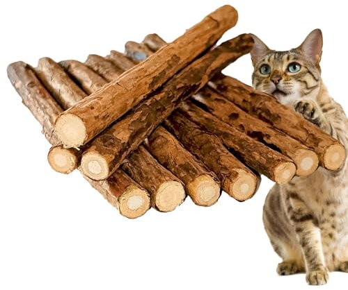 Katzenhimmel 10 Stück Set Matatabi-Katzenminze Sticks - Natürliche Zahnpflege und Spielspaß für Deine Katze Kauholz hochwertige Qualität