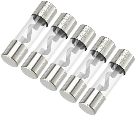 Partuto 5 Stück 10x38mm 0,39x1,50 Zoll 40A Universal AGU Glassicherung - Kfz-Sicherungsröhre zum Schutz der Stromversorgung - Metall Silberton