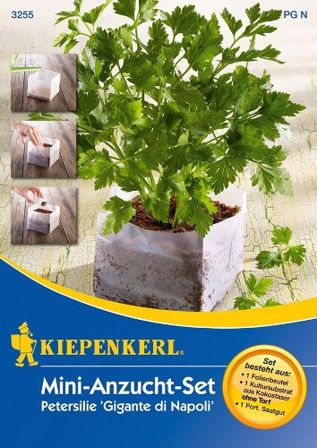 Kiepenkerl Mini-Anzuchtset Petersilie Gigante di Napoli