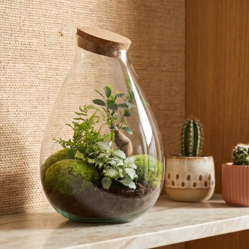 urbanjngl - Drop XL Terrarium Grün - DIY Kit für Pflanzen - Ø 24 cm, Höhe 37 cm - Inklusive Kork - Ideal für EIN nachhaltiges Ökosystem