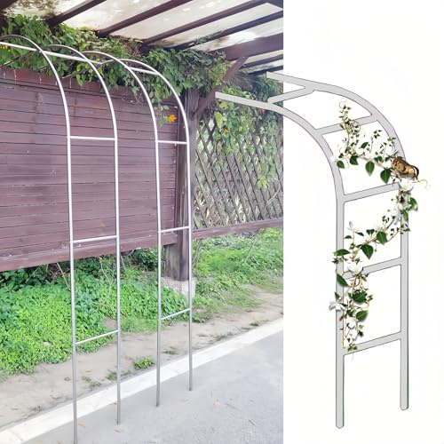 Halber Rosenbogen Für Kletterpflanzen Gartenbogen Stabil Rosenspalier Für Hinterhof Rasen Patio Innenhof 120/160/180/220/270cm Breit 240cm Hoch(100 * 240cm(3.2 * 7.8ft))