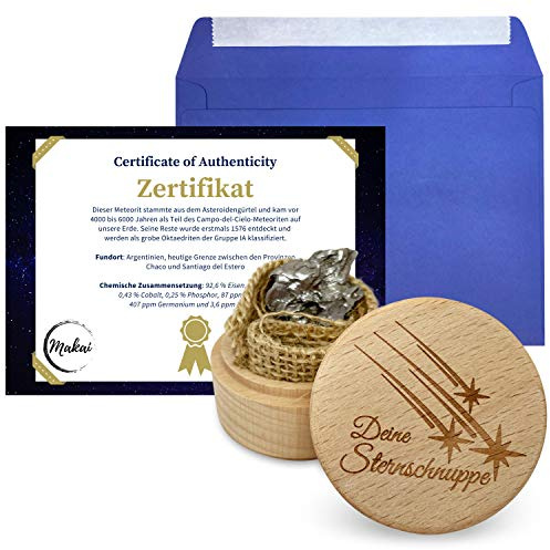 Makai echter Meteorit Sternschnuppe Campo-del-Cielo-Meteorit mit Echtheits-Zertifikat & Aufbewahrungsbox aus Holz (mit Holzbox und Zertifikat)