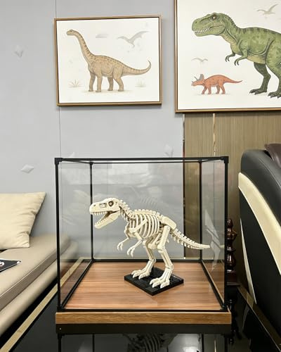 Elitix Acryl Vitrine Acryl-Vitrine (35 40 50 80 cm), Kleine, Kleine, Transparente Kunststoffbehälter, Aufbewahrungsbox für Erinnerungsstücke(60x40x60cm/23.6x15.7x23.6in)