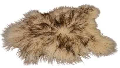 Tannery Sheepskin Schaffell Natürliche gelocktes Weiß Mit Braunen Spitzen isländische Teppiche, Amazing Schaffell, Schafsleder, Schafsleder Bereich, Teppiche, Teppich, (ca. 100/55cm)
