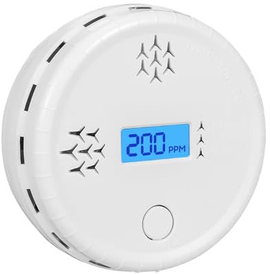 YZIF Monitor rilevatore di monossido di Carbonio, Allarme monossido di Carbonio Portatile, Allarme monossido di Carbonio Domestico, Conforme alla norma EN50291