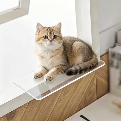 Vibeo Transparent Narrow Window Sill Extender Board, No Drilling Ledge Extension 12 16 20 24 30 40 in, 6 mm Thick Acrylic Windowsill Extend Cat Perch(37x6 in (95x15 cm))