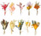 Lithyc 10pcs Petit Bouquet Fleurs SéChéEs - Fleurs SéChéEs Bouquet - Convient pour Les Vases,L'Artisanat,Les Corsages,Les Mariages, La DéCoration D'Accessoires Photo DIY