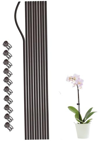 10 bastoncini di supporto per piante da giardino con 10 clip per piante di orchidea, altezza 40 cm, stelo singolo, paletti da giardino per piante rampicanti