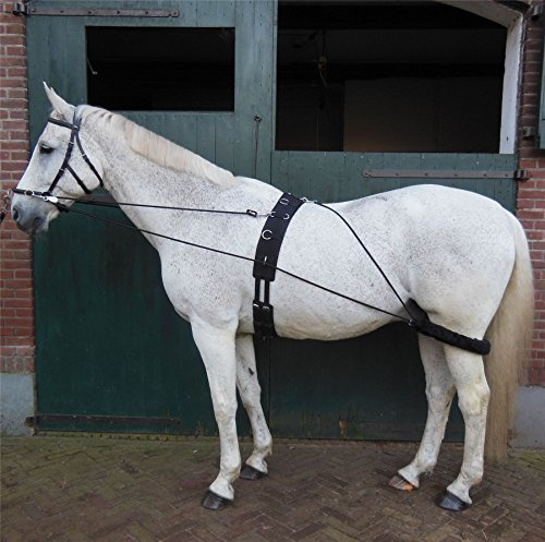 HORKA Equestrian Bit Stück Durable Schule longierarbeit Artikeln Schwarz Braun Blau, schwarz