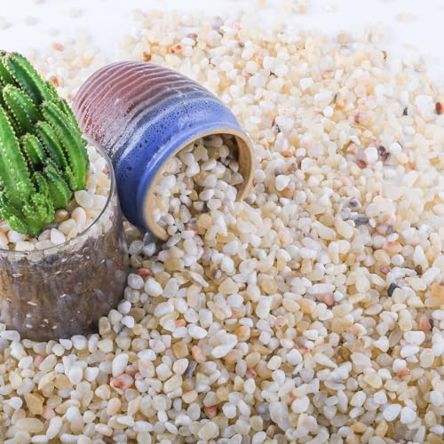 CJGQ 7lb Aquarium Gravel for Plants, 1/5Inch Outdoor Decorative River Rocks for Succulents and Cactus Landscaping, Garden Plant Rocks Natural Small Rocks Pea Gravel for Fish Tank Vases Terrarium