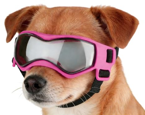Schutzbrille Für Hunde – Wetterabwehr-Augenschutzgerät Für Tiere, Luftstromreduzierende Sichtabdeckung, Leichte Schutzausrüstung Für Welpenoptik | Für Reiseausflüge Shoreline Exploration Trail R