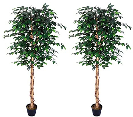 AMERIQUE AM0912FC6FTPK2 Gorgeous Ficus Trees Artificial Silk Plant, 6', Emerald Green