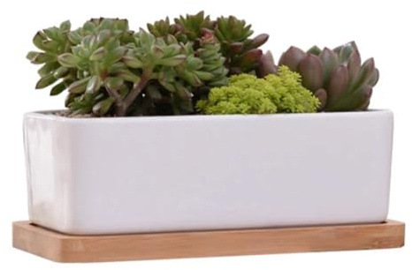 Maceta de cerámica con bandeja de bambú, maceta rectangular para decoración de mesa, escritorio, hogar, oficina, dormitorio, escritorio, cocina, baño, plantas vivas en maceta, flores, cactus pequeños