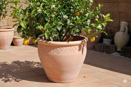 GartenGees Pflanzkübel,Streifenmuster,Blumentopf,Terracotta hell,frostfest!3 Größen wählbar (38 cm)