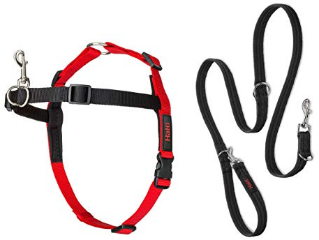 Halti Company of Animals Front Control Gurt und Trainingsleine Kombipackung, Medium Harness, schwarz