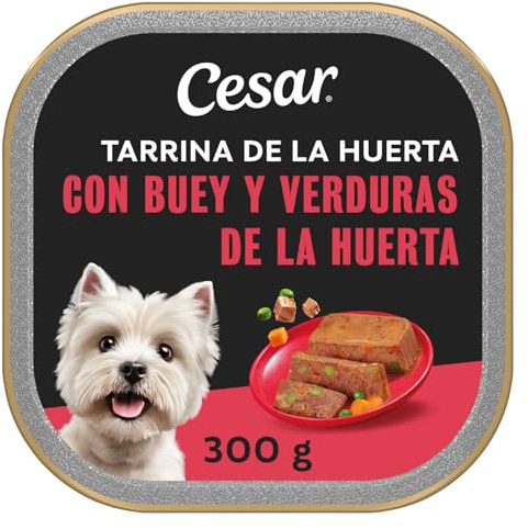 Cesar Jelly våt hundmat för hundar smak av oxe och grönsaker (förpackning med 20 x 300 g)