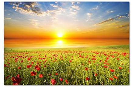 120x80cm - Fotodruck auf Leinwand und Rahmen Feld Gras Mohnblumen Himmel Sonne - Leinwandbild auf Keilrahmen modern stilvoll - Bilder und Dekoration