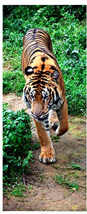 3D Türtapete Türaufkleber Selbstklebend Türfolie Poster Fototapete Türbilder Türtattoos Wasserdichte Tür Stickers für Kinderzimmer Wohnzimmer Badezimmer 100x200 cm Tier-Tiger
