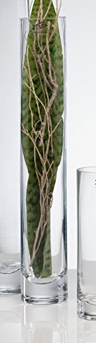 Sandra Rich Glasvase Solifleur klar zylindrisch 36 cm Ø 6 cm Cold Cut