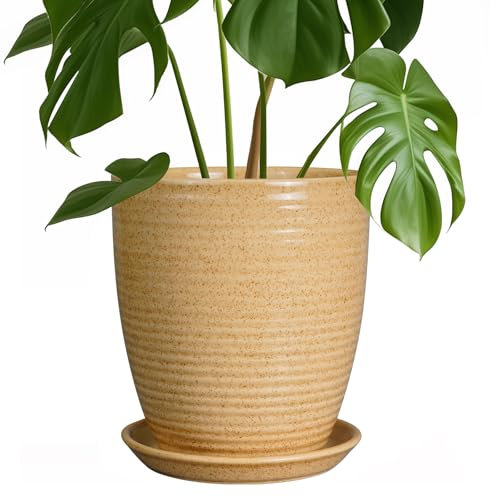 EPFamily Pflanztopf für Pflanzen, 20,3 cm, Keramik-Pflanzgefäß für den Innenbereich, mit Ablaufloch und Untersetzer, Übertopf für Outdoor-Pflanzen, runder Blumentopf für Zuhause, Terrasse, Garten,