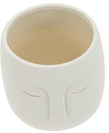 BESPORTBLE Pot De Fleurs Artistique pour Succulentes Cache-Pot Moderne avec Drainage Décoration Intérieure Élégante pour Plantes Vertes