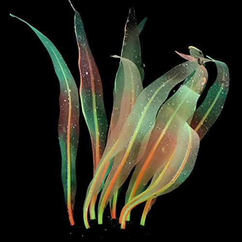 Künstlicher Kelp für Aquarien, weiche Silikonpflanze, Bewegung mit Wasserfluss, 17,8 cm hoch, realistische Algen-Aquari-Dekoration, realistische Aquarium-Pflanze