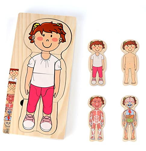 KABENFIS Juego de anatomía para niñas de 29 Piezas Rompecabezas de Cuerpo de Madera para niños y niñas