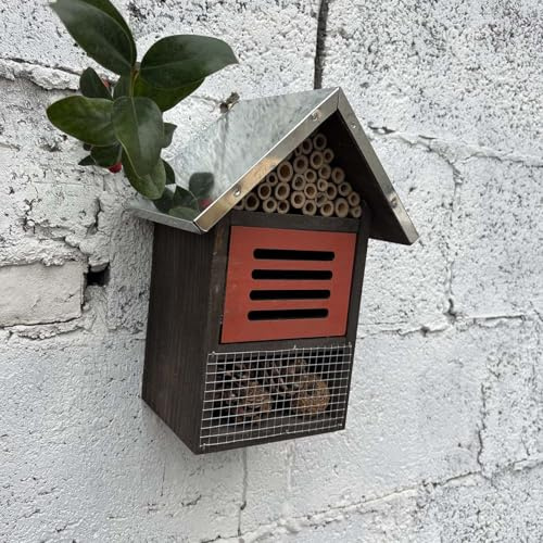 Casetta d'apiario sospesa in legno, per api, coleotteri, farfalle e coccinelle, habitat naturale, per giardino e casa