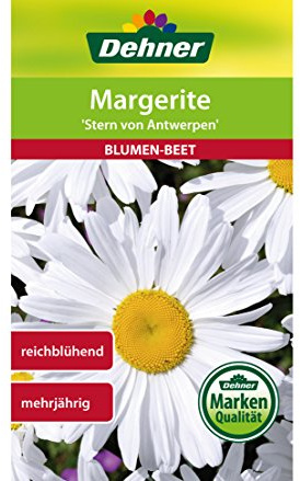 Dehner Blumen-Saatgut, Margerite, Stern von Antwerpen, 5er pack (5 x 2 g)