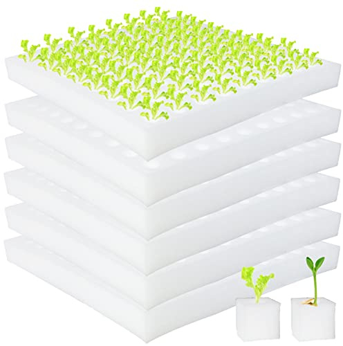 Tongnian 600 Pcs Hydroponic Sponges, Soil-Less Cultivation Planting Gardening Tool, Square Seedling Sponges for Small Bud Growth