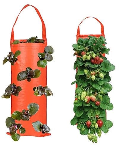 Erdbeere Pflanzsack Pflanzbeutel Hängend mit 8 Löchern Pflanzsäcke für Erdbeeren Hängende Erdbeeren Pflanztaschen Garten Zuchtbeutel Obst Gemüse Blumen Pflanzen Tasche Grow Tasche (Orange 2PCS)