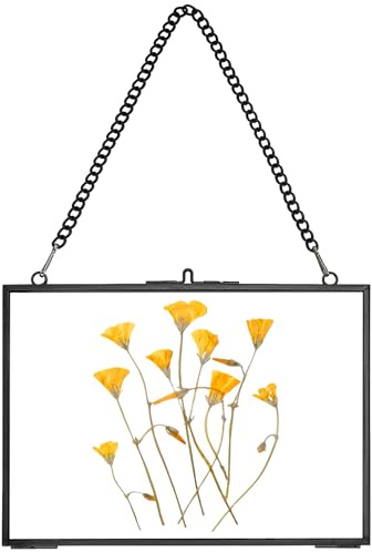 REDHUGO Hanging Pressed Flower Frame Handmade, Double Glass Picture Frame Floater frame Floating Frame for Pressed Flowers Home Wall Artwork, Rectangle Horizontal 5×7 inches, Black (FRAME ONLY)