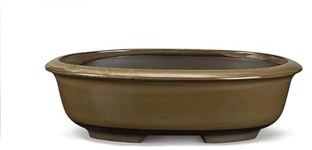 Certrè - Vaso Bonsai Ovale in Gres, Modello Treviso, Made in Italy, Colore Salvia (Smaltato)| 16x12,5x6 cm