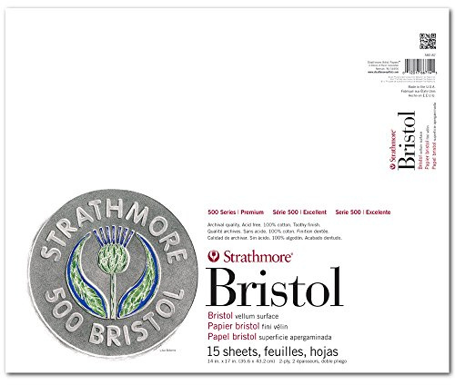 Strathmore (580-82 500 Series Bristol, 2-lagige Pergamentoberfläche, 35,6 x 43,2 cm, Grau, 15 Blatt