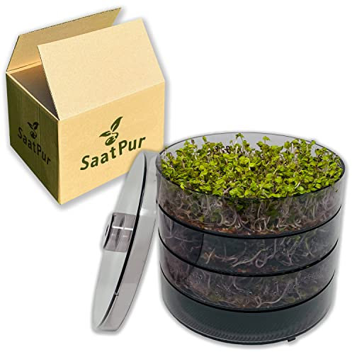 SaatPur® Keimsprossenbox Set 3 mit DREI Etagen als Sprossen Keimgerät: Sprossen Anzucht sowie Microgreens Anzuchtschalen. Keimbox, Keimschale, Qualität, Sprossenbox, Sprossenhaus, Keimgerät