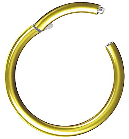 Taffstyle Segment Piercing mit Scharnier Chirurgenstahl für Septum Tragus Helix Nase Lippe Ohr Intim