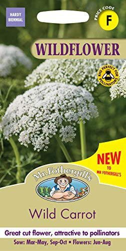 Mr Fothergill’s Seeds Ltd 32572 Carrot Wild Flower Seeds, White, 145.0 mm*5.0 mm*75.0 mm