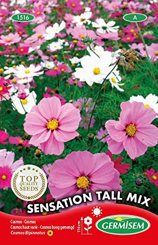 Germisem Sensation Tall Mix Semi di Cosmos 2 g