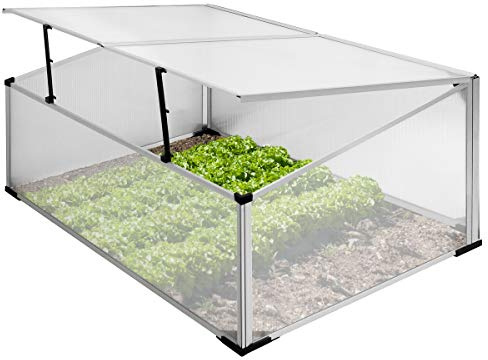 ECD Germany Invernadero de Policarbonato con Marco Frío de Aluminio 100 x 60 x 40 cm Techo con Cerradura Transparente Resistente a la Intemperie y a Rayos UV Vivero para Verduras Huerto de Jardín