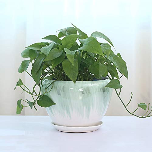Keramik runder Blumentopf Sukkulenten Topf Kaktus Pflanzgefäße mit Abflussloch Behälter Pflanzgefäß Dekoration Retro chinesischer Stil Orchidee Behälter Büro Desktop Bonsai Wohnkultur (größe : M)