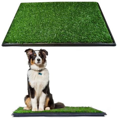 Downtown Pet Supply Dog Grass Pad with Tray, 20 x 30 - Outdoor and Indoor Potty System for Dogs with Replaceable Synthetic Grass Pee Turf - Portable and Waterproof Turf Dog Potty