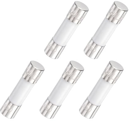 QUARKZMAN 5Pcs Fusibile A Ritardo Temporale Ceramico Tubolare 5mm x 20mm 250V 8A Fusibile Lento Per Riparazione Schede Elettroniche Apparecchi Di Illuminazione Strumentazione.