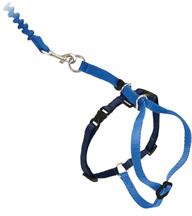 PetSafe CWMK-L-RYL Imbracatura per Gatti, Nylon, Royal Blue/Navy, L