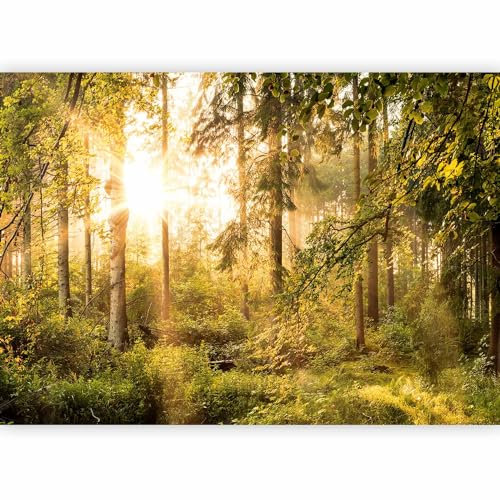 murando - Papier peint panoramique paysage 100x70 cm - Revêtement mural décoration salon - Design moderne - Jaune marron vert blanc - Des arbres forêt feuilles nature paysage soleil c-C-0032-a-c