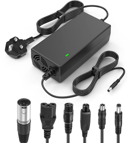 LabTEC 54.6V 48V 2A Electric Bike Lithium Battery Charger for 48V 2A 13S Li-on Battery E-bike Electric Scooter Power Supply (6 in 1)