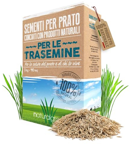 B4GREEN Semi Prato Crescita Rapida per Trasemina e Risemina 40m²1kg – Loietto Perenne per Riparazione e Rigenerazione Prato Diradato – Semi Erba per Semina e Rinfoltimento Tappeto Erboso (40m²)