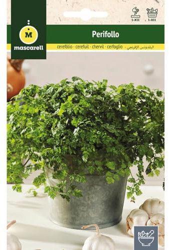Mascarell Semillas, PERIFOLLO, Semillas de Hierbas Aromáticas para Plantar, Crea tu Propio Huerto en Casa. 10 Gramos