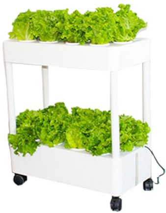 Système de jardinage hydroponique d'intérieur, arrosage automatique vertical pour herbes, solution agricole intelligente